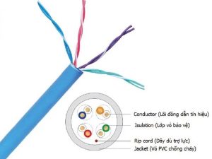 Dây Cáp Mạng Nc5e U10